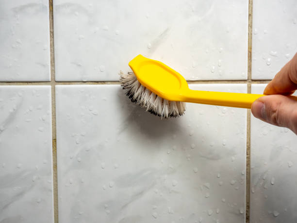 Best Office Mold Removal Services  in Woodacre, CA