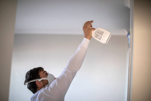 Best Same-Day Mold Removal  in Woodacre, CA