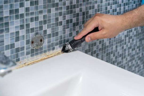 Best Home Mold Removal  in Woodacre, CA