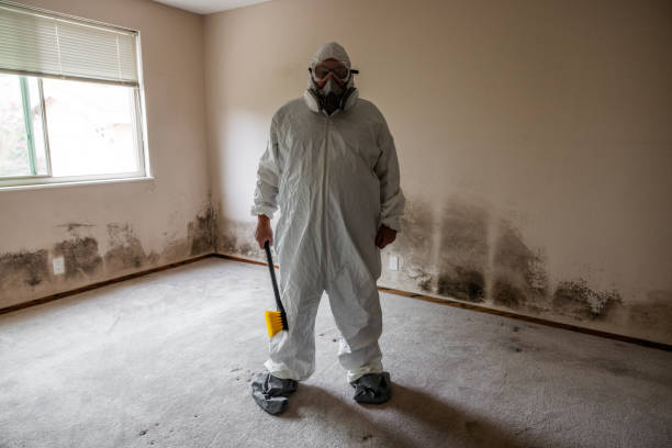 Best Crawl Space Mold Removal  in Woodacre, CA